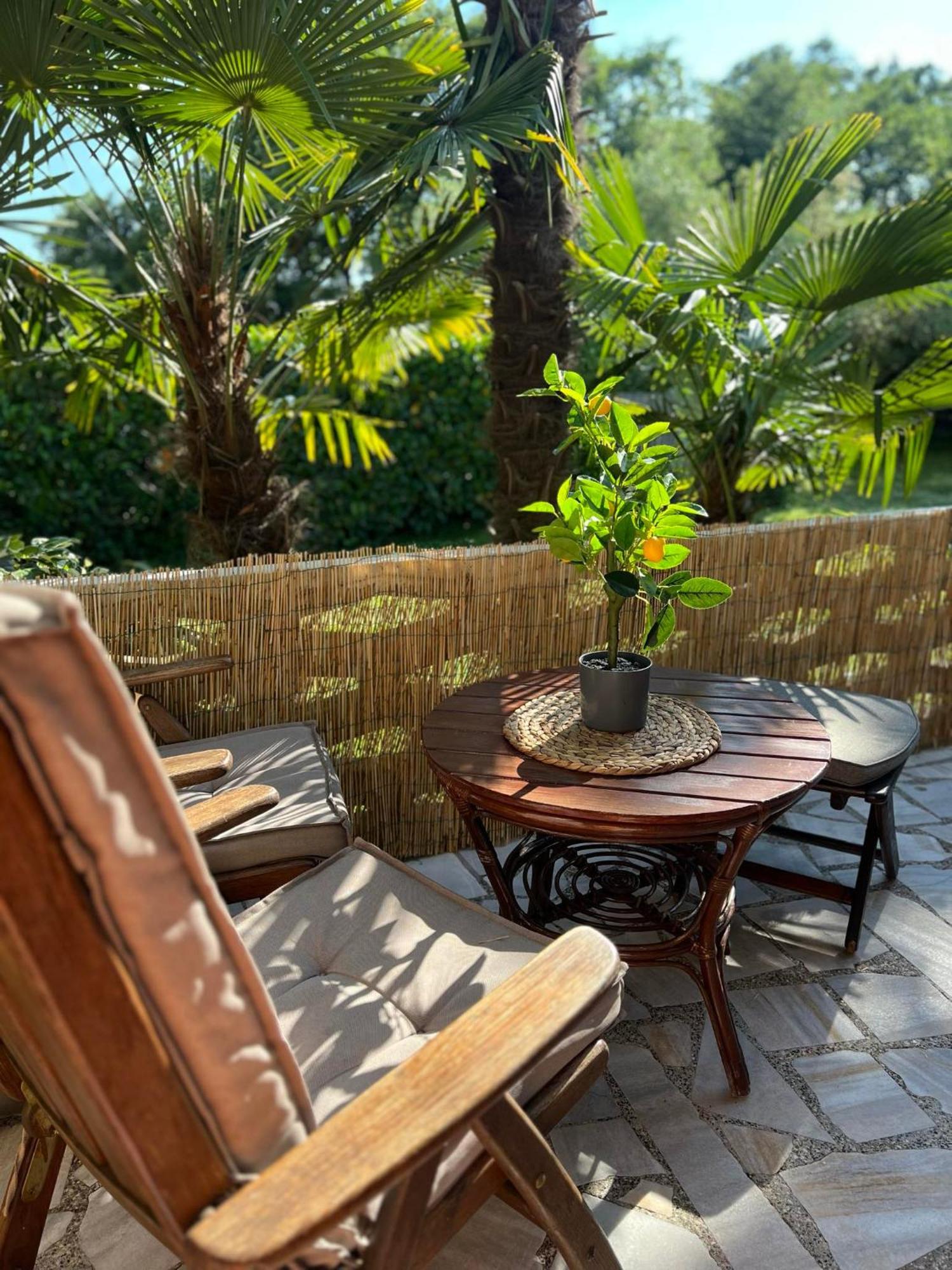 Apartment Villa Angelina, 70M From The Beach, Free Parking Novigrad Istria Exterior foto